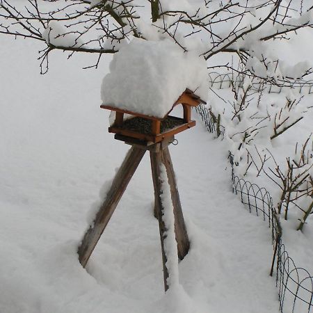 Fewo Talula - Sauerland Mit Hund Medebach Eksteriør billede