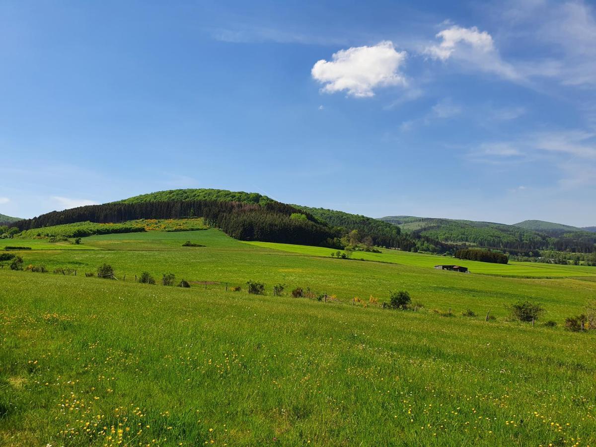 Fewo Talula - Sauerland Mit Hund Medebach Eksteriør billede
