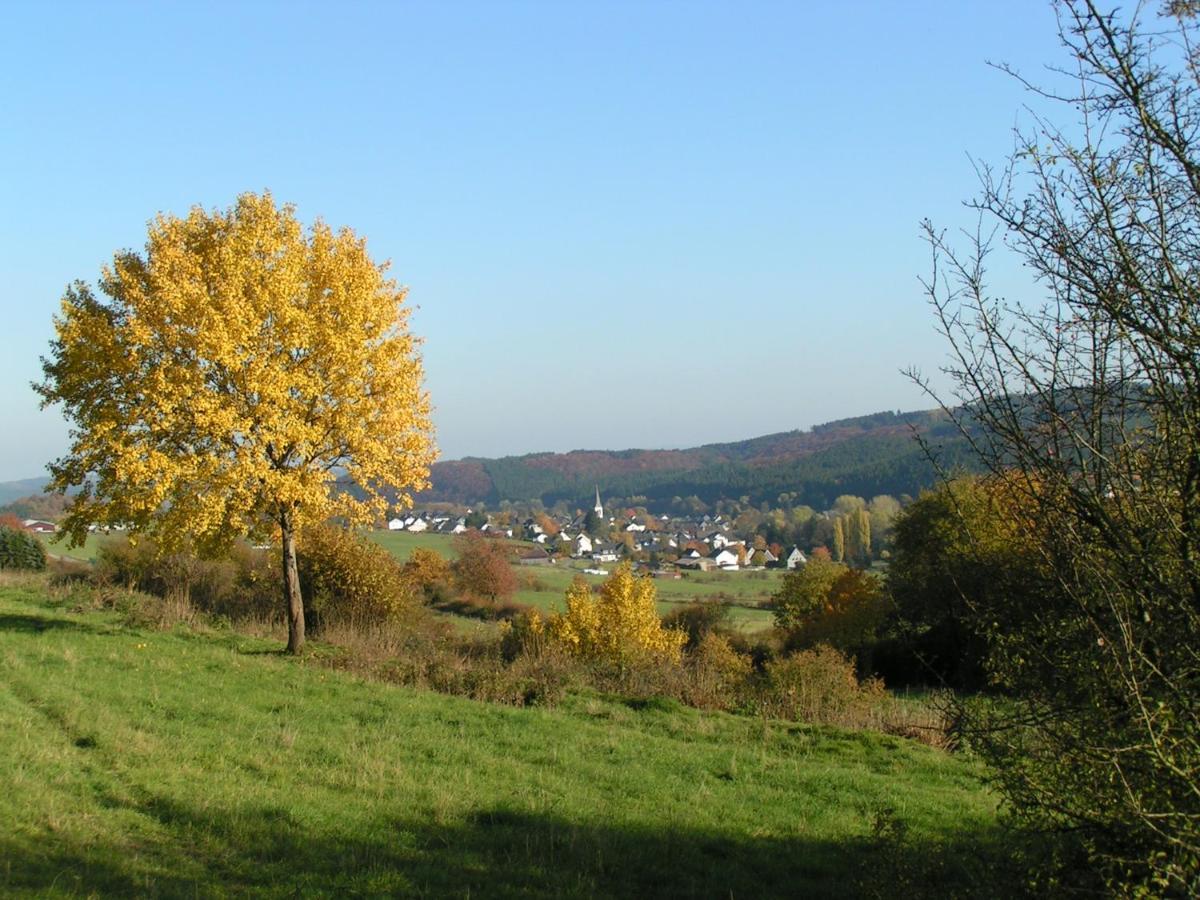 Fewo Talula - Sauerland Mit Hund Medebach Eksteriør billede