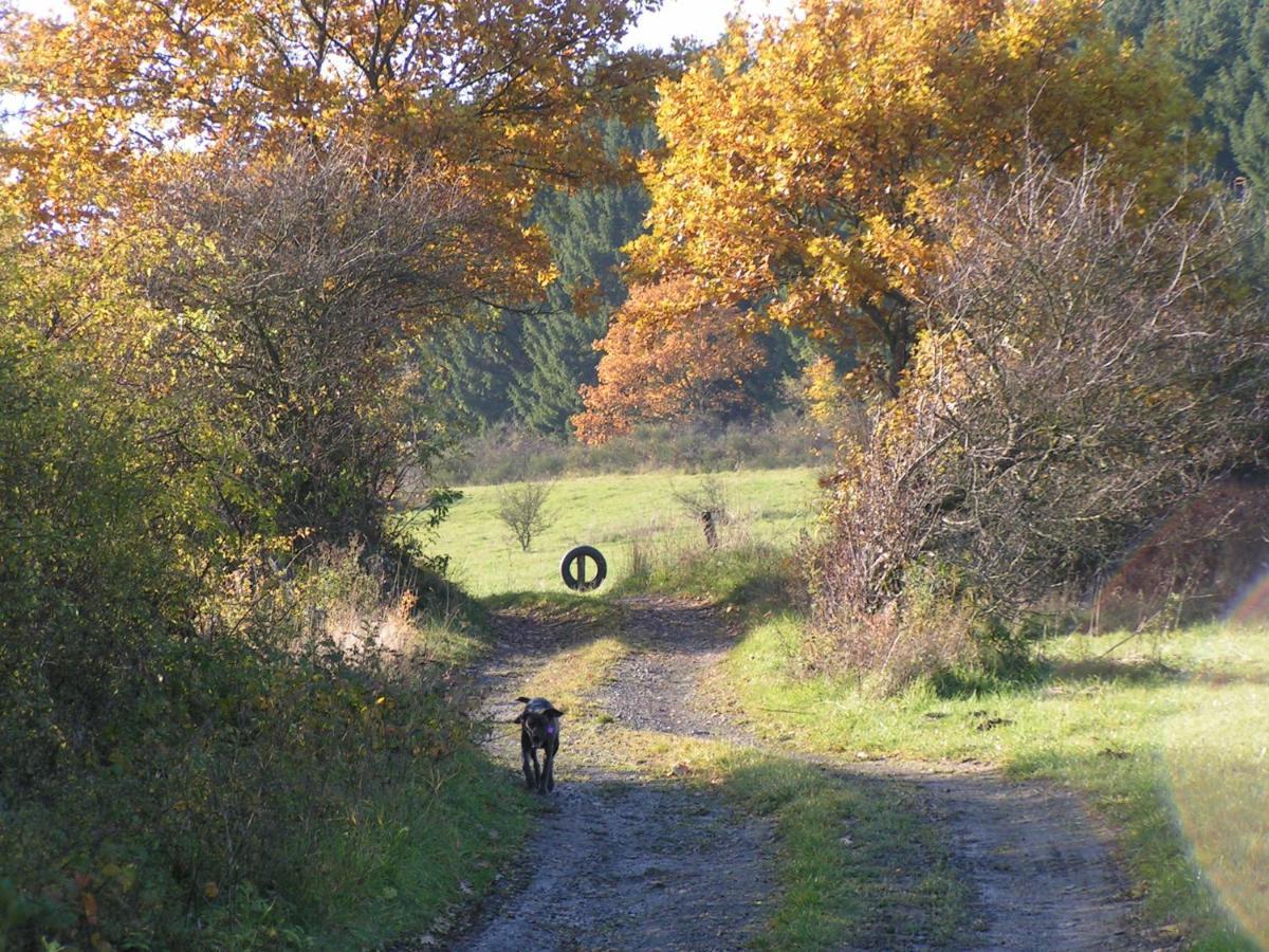 Fewo Talula - Sauerland Mit Hund Medebach Eksteriør billede
